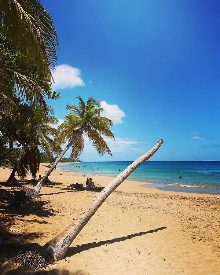 Auberge K-Wan Hostel - Proche Plages Deshaies