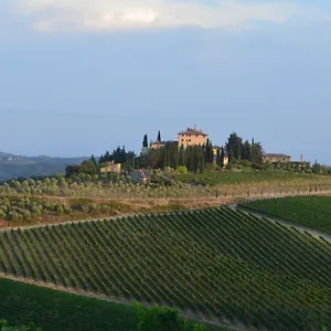 Damario Panorama , Panzano in Chianti Italy